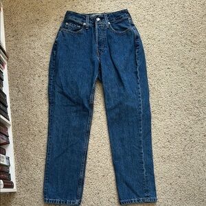 Everlane High Rise Blue Jeans with Classic Style